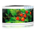 Aquarium Trigon LED 350 L white