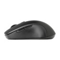 DAREU LM115G mouse Office RF Wireless 1600 DPI