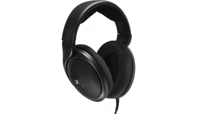 Sennheiser HD 560s mustad