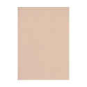 Dekoratiivpaber A4 120g CURIOUS Metallics Nude 50 lehte