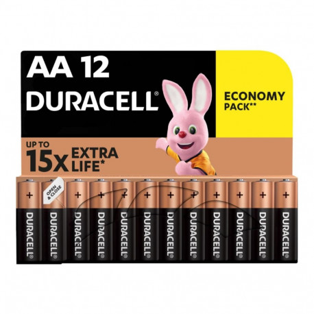 Batteries AA DURACELL Basic 1.5V 12 pcs