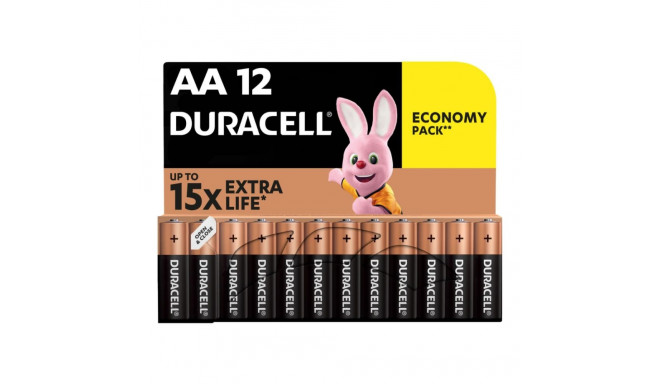 Patareid AA DURACELL Basic 1,5V 12tk