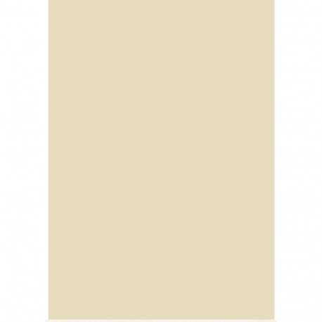 Käsitöökartong 50x70cm 300g seemisnahk, Heyda