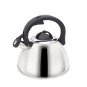 MAESTRO MR-1335 non-electric kettle