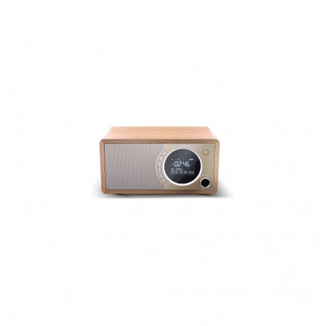 Sharp DR-450 Personal Digital Brown, Stainless steel