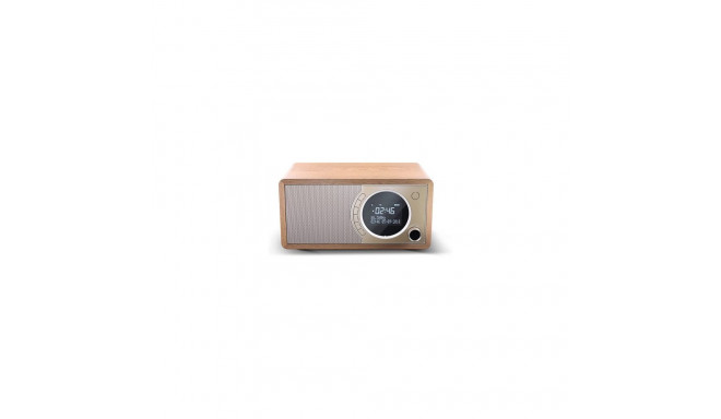 Sharp DR-450 Personal Digital Brown, Stainless steel
