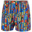 Helly Hansen Newport Trunk Shorts M 334296 991 (L)