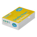 Koopiapaber A5 80g DATA COPY ColorLok® 500 lehte