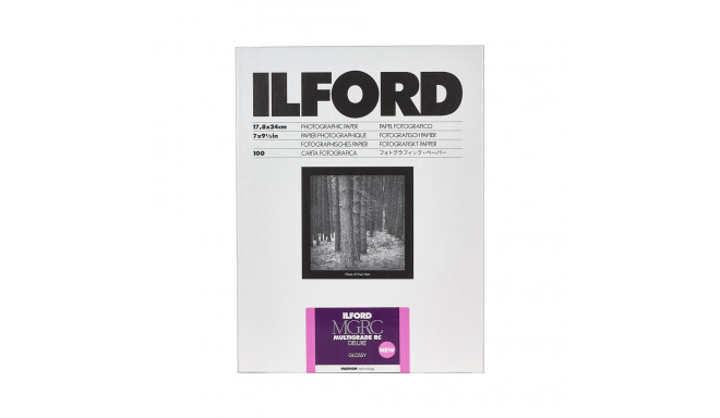 Ilford IS 2 1M 17,8x24,0 25 Sheets