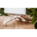 R-Go Tools Laptop and tablet stand R-Go Treepod, ergonomic and modular, adjustable, biobased