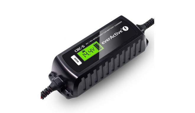 everActive CBC-5 machine battery charger