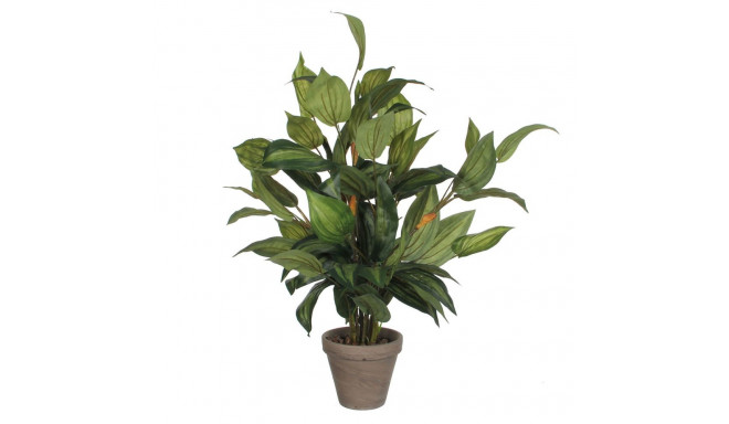 Dekoratiivne Taim Mica Decorations Hosta Roheline PVC (15,5 x 65 cm)