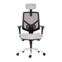 Office chair ANTARES 1750 Syn Skill mesh backrest, BN5 gray seat, lower leg, with headrest