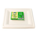 Sugar cane plate 20x20cm 10 pcs in a pack biodegradable
