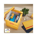 Pappkast kaanega 320x310x360mm LEITZ Cosy Click & Store kollane