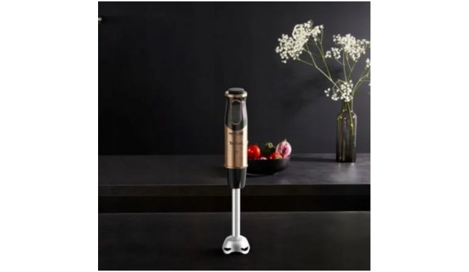 TEFAL HB656G10 saumikser 1000 W 20 kiirust must/vask