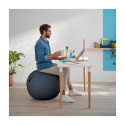 Ergo Sitting Ball Leitz Cosy Calm Blue