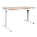 Desk ERGO with 1 motor 120x60xH72-121cm, white/oak