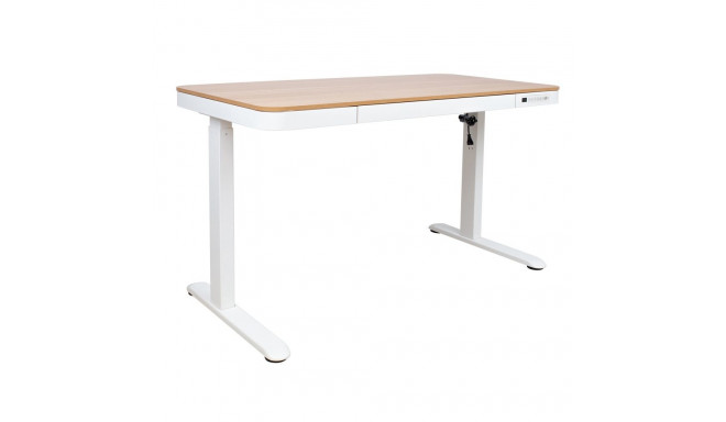 Desk ERGO with 1 motor 120x60xH72-121cm, white/oak