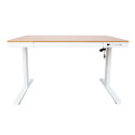 Desk ERGO with 1 motor 120x60xH72-121cm, white/oak