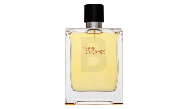 Hermes Terre D´Hermes Parfum Spray 200 ml (mees)