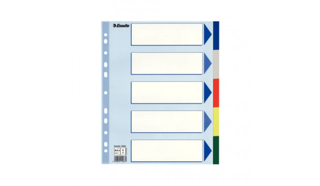 Divider Esselte PP A4+ 5 tabs Multicol