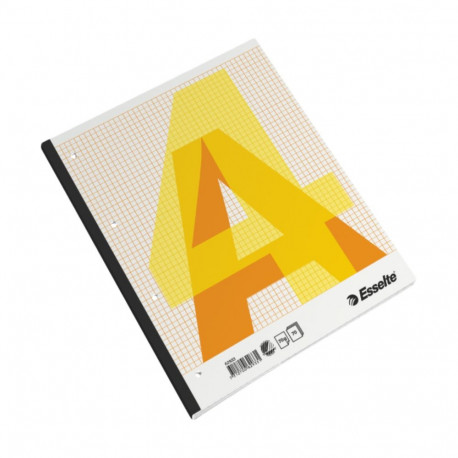 Kaustik liimköites A4 ESSELTE ruuduline augustusega 70 lehte
