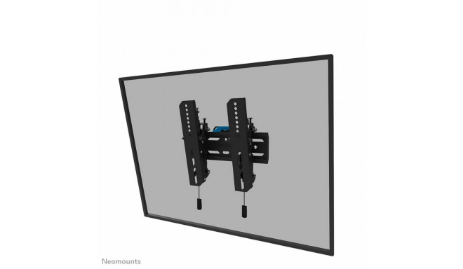 Televiisori Alus Neomounts WL35S-850BL12 24-55" 50 kg