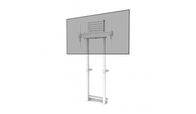 Televiisori Alus Neomounts WL55-875WH1
