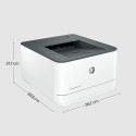 HP LaserJet Pro 3002dn, laser printer (grey, USB, LAN)