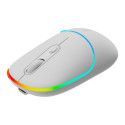 CANYON mouse MW-22 2in1 BT/ Wireless Snow White