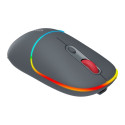 CANYON mouse MW-22 2in1 BT/ Wireless Dark Grey