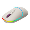 CANYON mouse MW-22 2in1 BT/ Wireless Rice