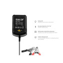Green Cell Charger for accumulators 2V / 6V / 12V (0.6A)