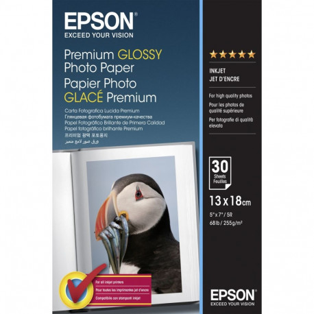 Epson Premium Glossy Photo Paper -valokuvapaperi 13 x 18 cm, 30 arkkia