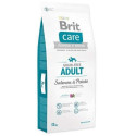 DOG FOOD DRY BRIT CARE ADULT SALM&POTATO