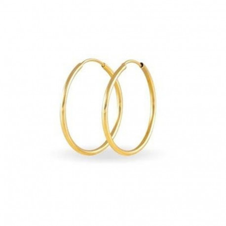 Naiste Kõrvarõngad Stroili 14010101