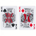 Bicycle Hidden Playing Cards