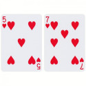 Bicycle Hidden Playing Cards