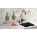 Kitchen faucet Aquasanita 5523JG-601