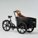 Elektriline kastiratas CARGOBIKE of SWEDEN Delight Dog