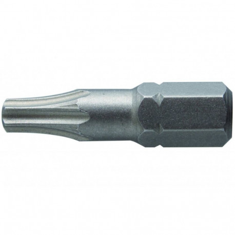 Kruvikeeraja otsik TORX 25, 25mm, S2, 2tk, blisterpakendis, HT1S364 HOGERT
