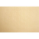 ROLLER BLIND SHANTUNG 877 90X230