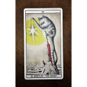 Fournier Tarot Cats Cards