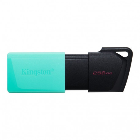 Kingston USB mälupulk DataTraveler Exodia 256 GB USB 3.2 Gen 1 must/türkiissinine