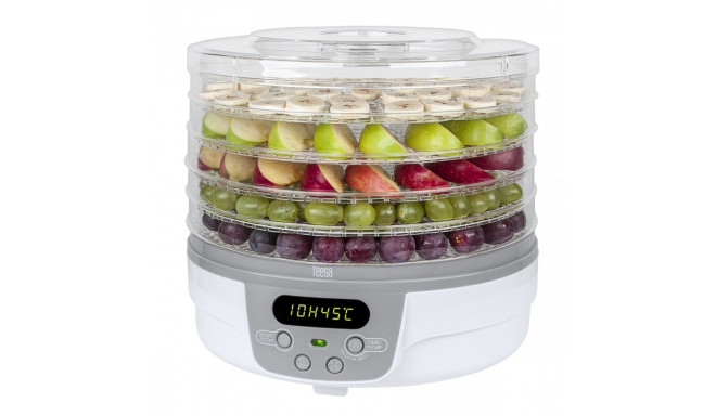 Dryer with LCD mushrooms, vegetables and fruit