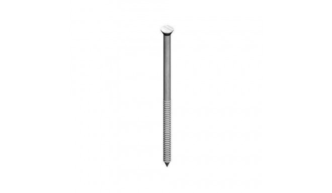 STRIP NAIL 30X1.4 MESSING LATENT HEAD100