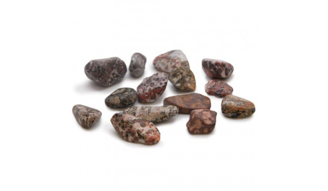 Ancient Wisdom Leopard Skin Jasper (24 Pcs. M Size)