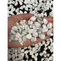 Ancient Wisdom White Howlite - Magnesite (24 pcs. size S)