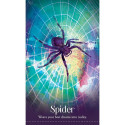 Blue Angel Wild Dreams Animal Oracle Cards